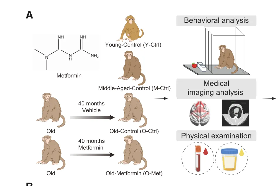 1737525123134908.png 1737525123134908.png